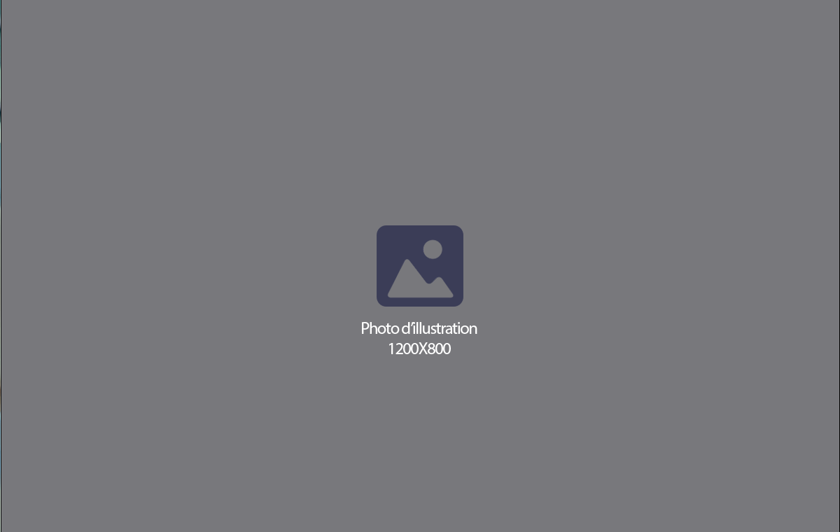law_02
